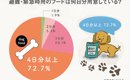 猫ネタりかフラグテスト