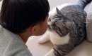 『眠気に襲われた子猫』がベッドに行ったら…"母猫を待つ姿"…