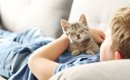 猫の愛情表現を理解して絆を深めよう！noindex