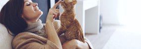 猫に好かれる６個の方法