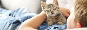 猫の愛情表現を理解して絆を深めよう！