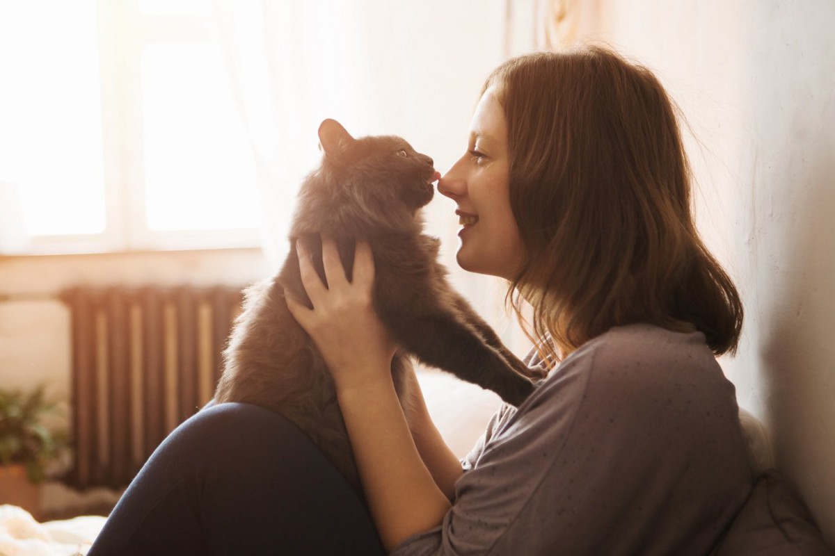 猫が『甘えたくなっちゃう人』の特徴4選♪