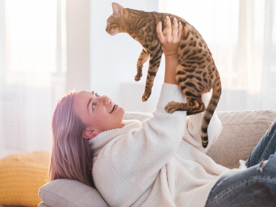 保護猫のトライアル期間でチェックしたい4つのこと