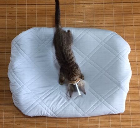 冷感接触の生地で猫ベッドのシーツを作りました。