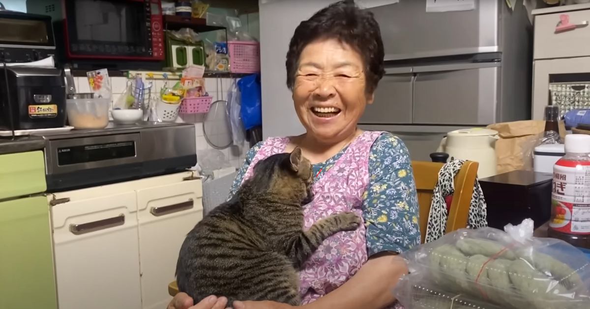 出会って数分でマブダチになった『おばあちゃんと野良猫』→癖強すぎる『まさかの光景』が29万再生「ブラッシングに爆笑」「斜め上いってた」