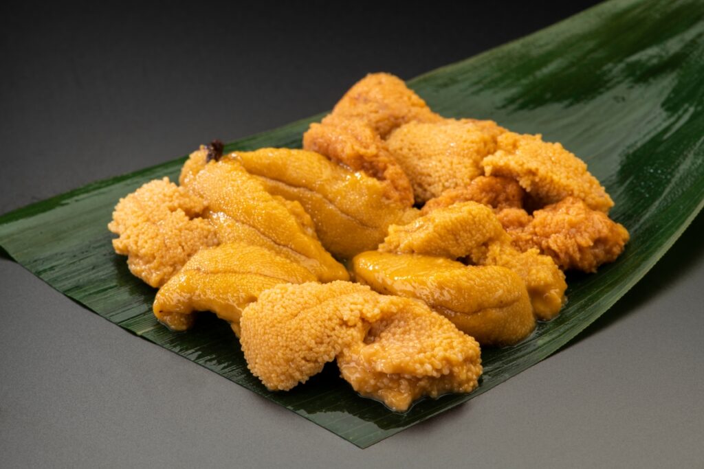 【獣医師監修】猫がウニを食べるのはNG！危険な理由や中毒症状、誤食した際の対処法まで解説