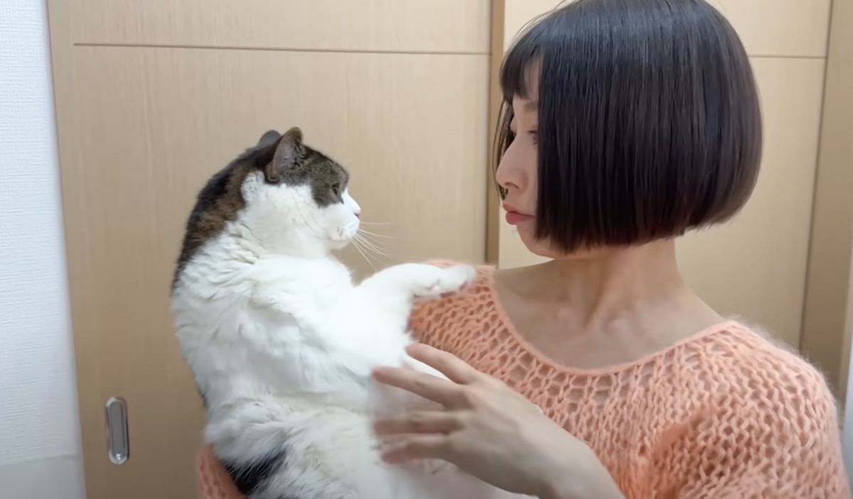 髪の毛を短くして帰ってきたら、猫が……『文句が止まらない光景』が笑えると13万再生「めちゃくちゃ言ってるｗ」「必死の顔がかわいいｗ」