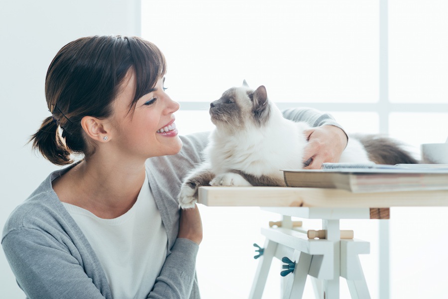 猫に錠剤の薬を嫌がらずに飲ませる２つのコツ