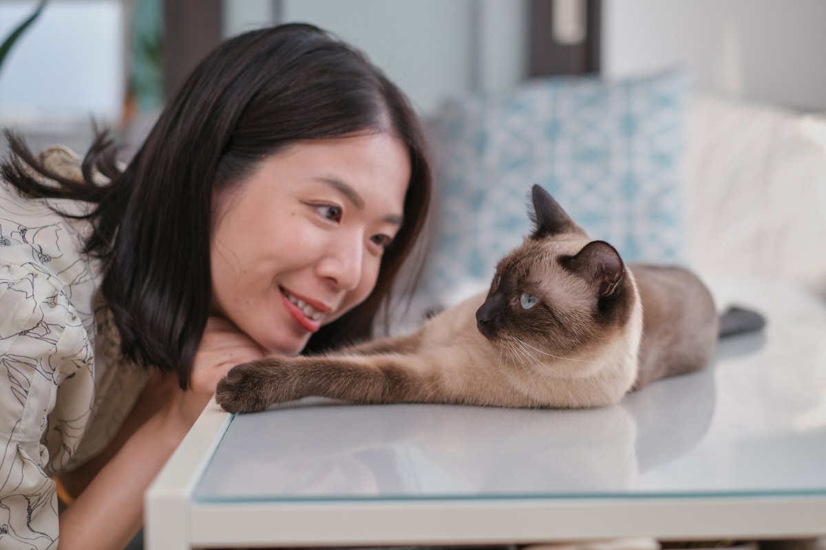 愛猫があなたの呼びかけに『返事している』ときのサイン5つ　無視しているワケではない？猫なりの返答方法とは