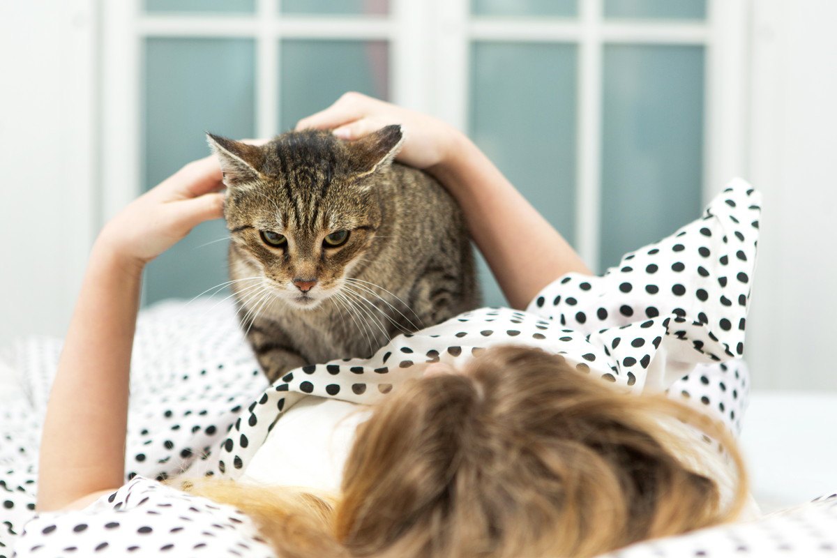 『飼い主を踏みつける』猫が考えていること4つ