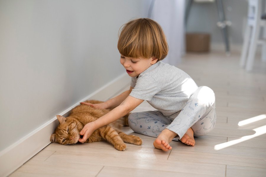 「一緒にがんばるニャン！」　発達障害のある子どもが「飼い猫」を訓練することで、お互いの結びつきや社会性が向上することが判明　米大学の研究