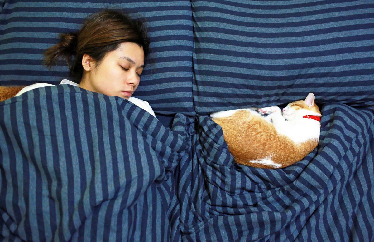 猫が飼い主に『おしりを向けて眠っている』ときの理由5つ　どんな人が見られるの？隠されている心理も解説