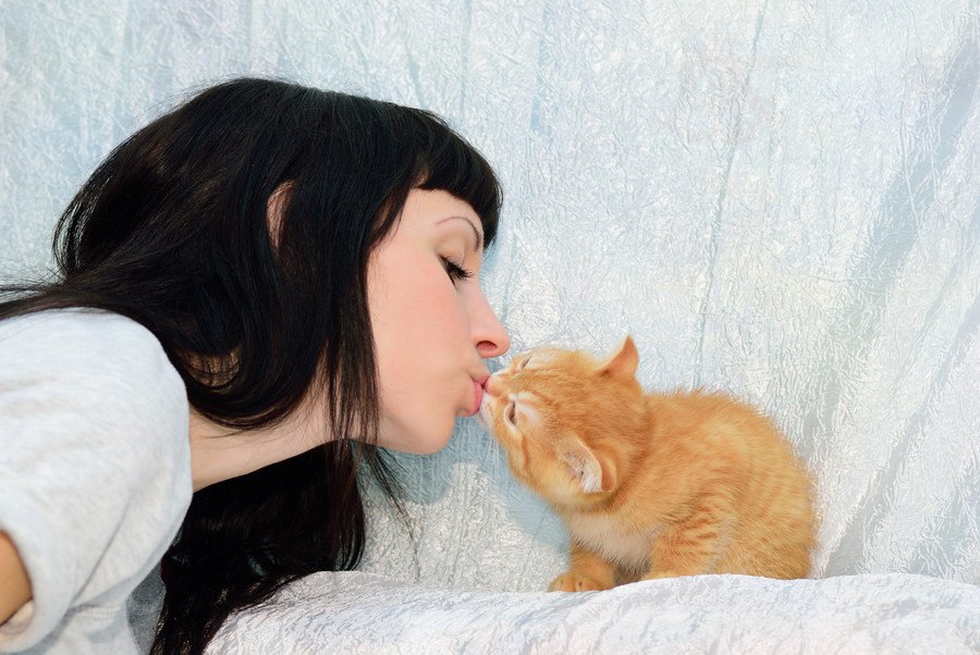 飼い主はみんなしてる？愛猫とのキスで注意が必要なこと５つ