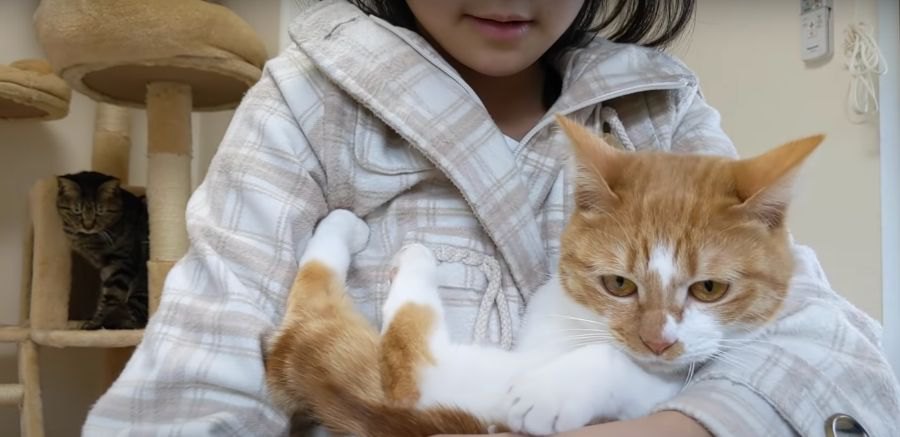 お姉ちゃんの抱っこにご満悦？な猫ちゃん！その後ろから見つめるのは…