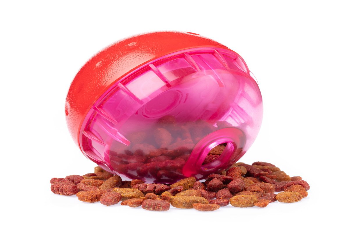 『食べ物をねだる猫』に我慢してもらうためのアイデア5選　効果的な理由やメリットまで