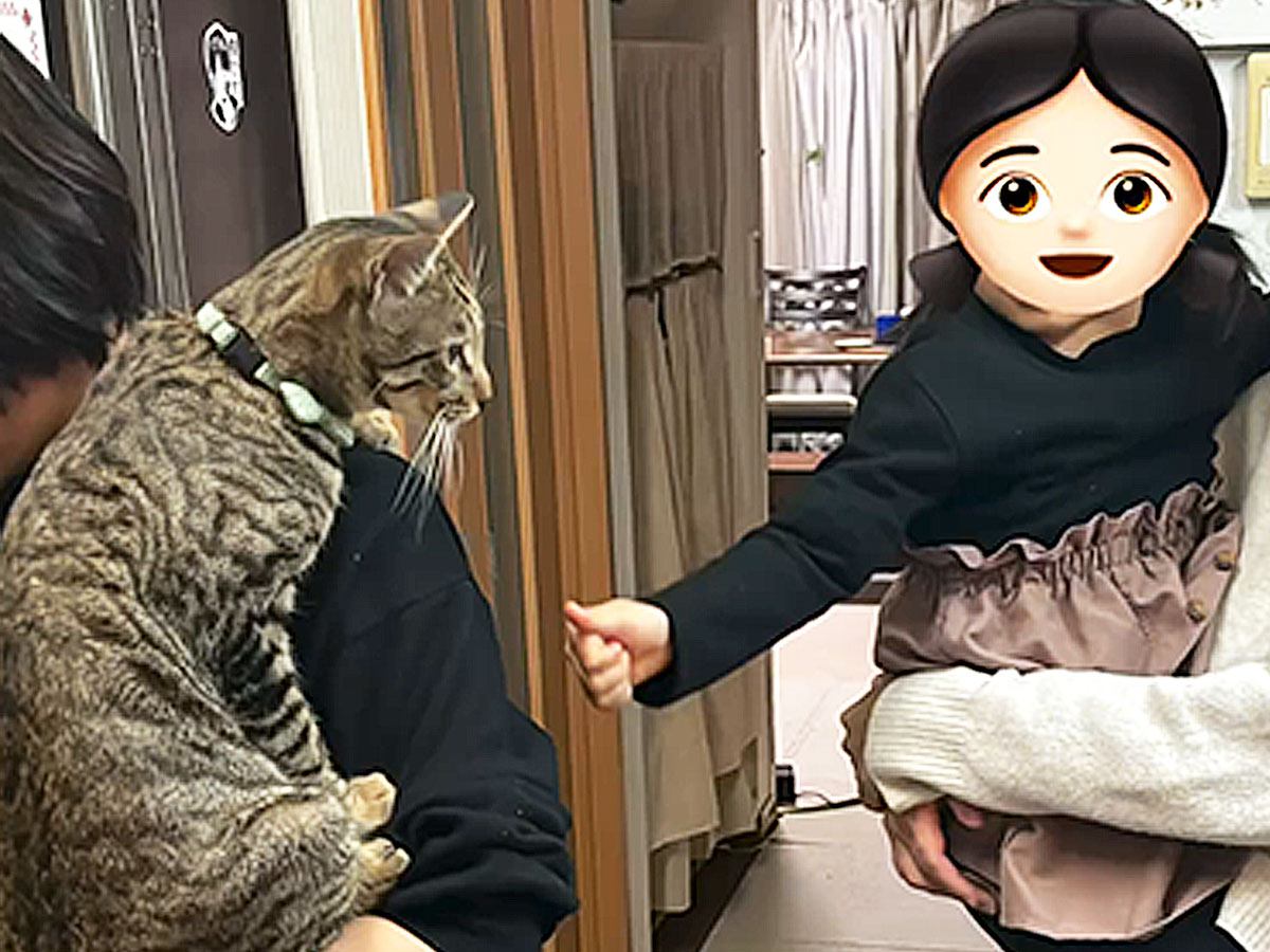 『猫アレルギーのお姉ちゃん』に抱っこしてもらいたい…甘え上手な猫の『まさかの行動』が55万再生「ほっこり」「いくらでも抱っこします」