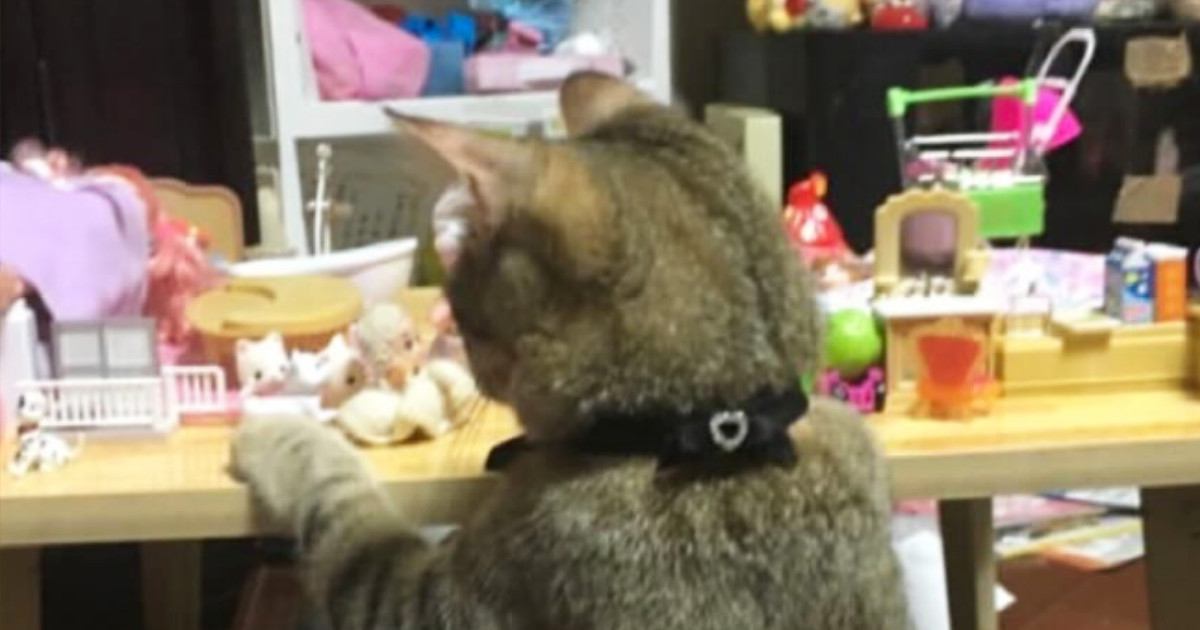 おままごとをする娘をそばで見守っていた猫→娘が眠ると…まさかの『尊すぎる瞬間』に１万いいね「可愛すぎてやばい」「涙が止まらない」