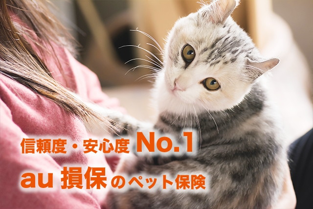 猫の保険でおすすめNo.1「au損保」とは