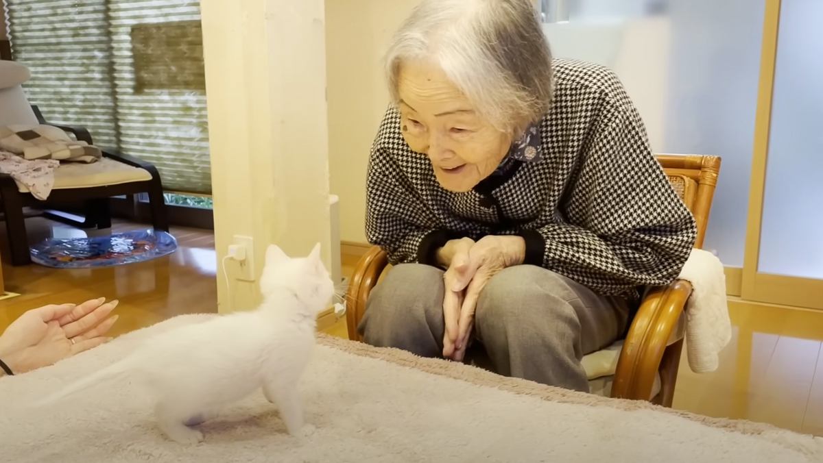 『97歳のおばあちゃん』と『0歳の子猫』を会わせてみたら…すてきなリアクションに「なんか涙が出た」「胸がいっぱいになる」と8万再生
