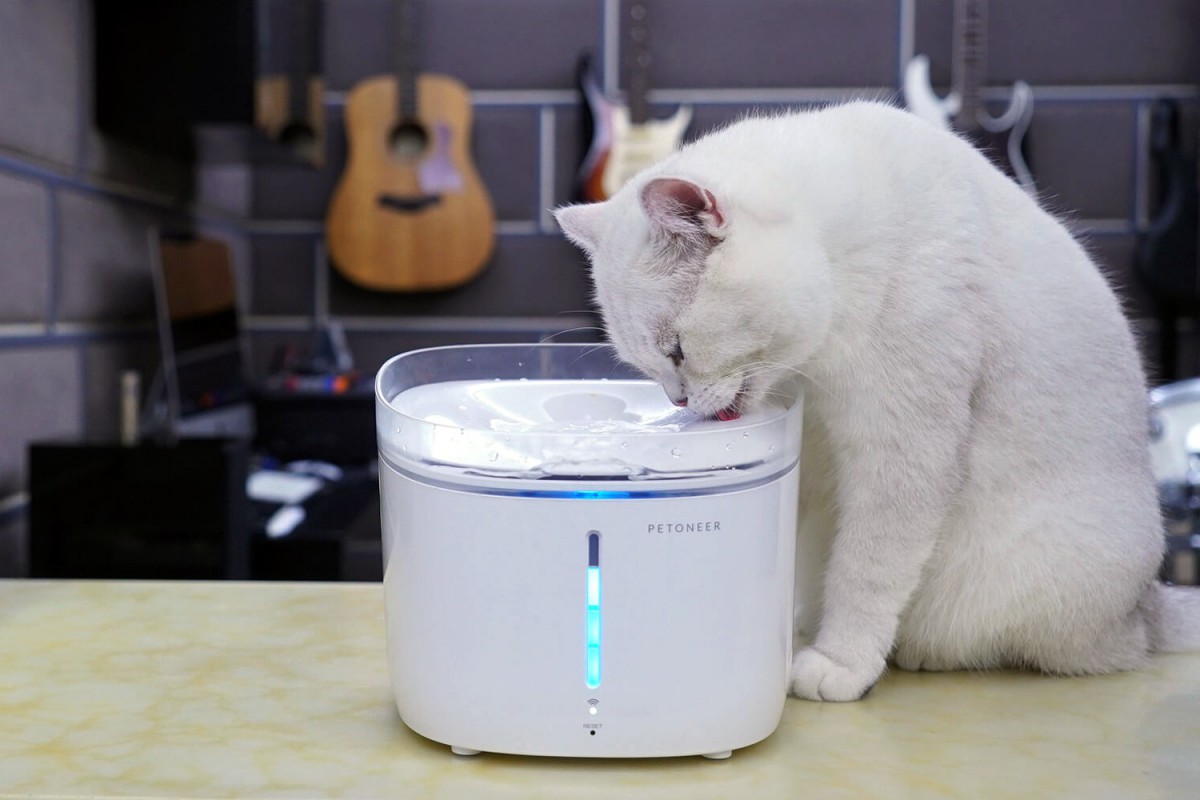 スマホと連動した猫の給水器！？Fresco Pro(フレスコ・プロ)