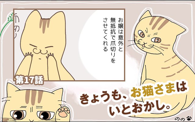 きょうも、お猫さまはいとをかし。【第17話】「見つからない解決策」