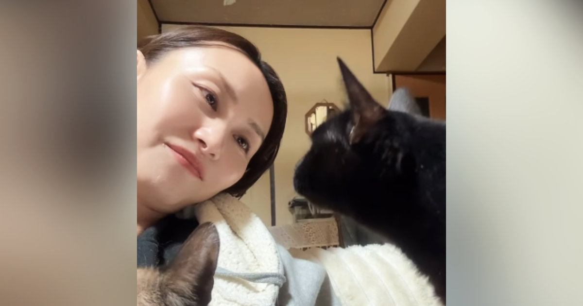 黒猫と見つめあう飼い主さん→首をかしげてみると……『まさかの展開』が可愛すぎると17万再生「ラブが溢れてる」「人生で一番高い声出た」