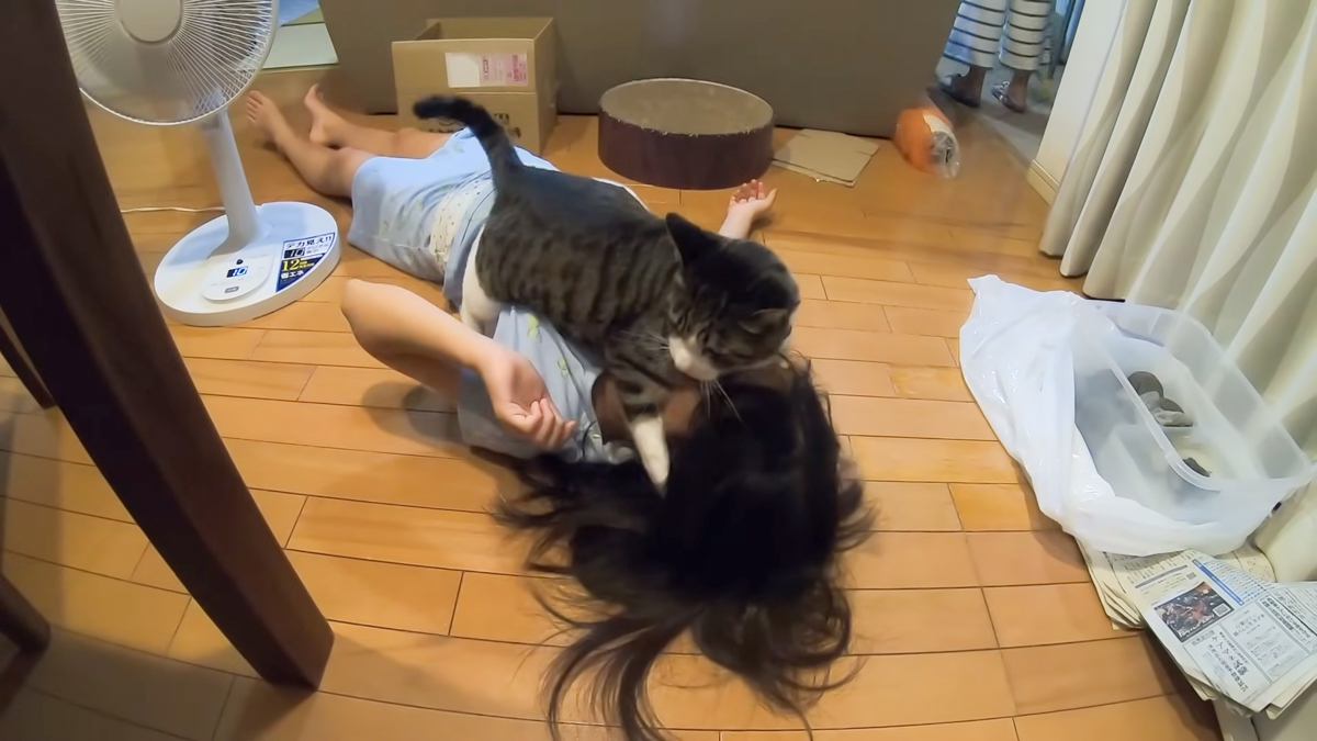 仰向けで寝転がる娘→上に『猫』が乗ってくると…あまりにも尊い『仲良しなやり取りの様子』に反響「愛情表現だね」「完全にニャンプロｗ」