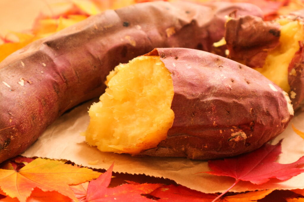 【獣医師監修】猫は焼き芋を食べても大丈夫？与える際の注意点や栄養と効果・適量などを解説