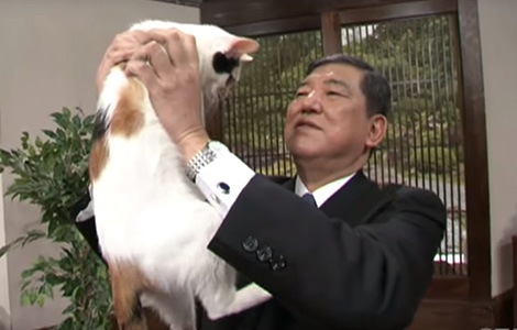 石破茂氏が猫に愛される4つの理由