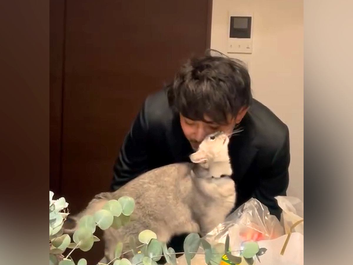 『新婚夫婦』かと思いきや『飼い主と猫』…ラブラブすぎる帰宅シーンと、予想外の『まさかの展開』が17万再生「笑ったｗ」「好きすぎてね」