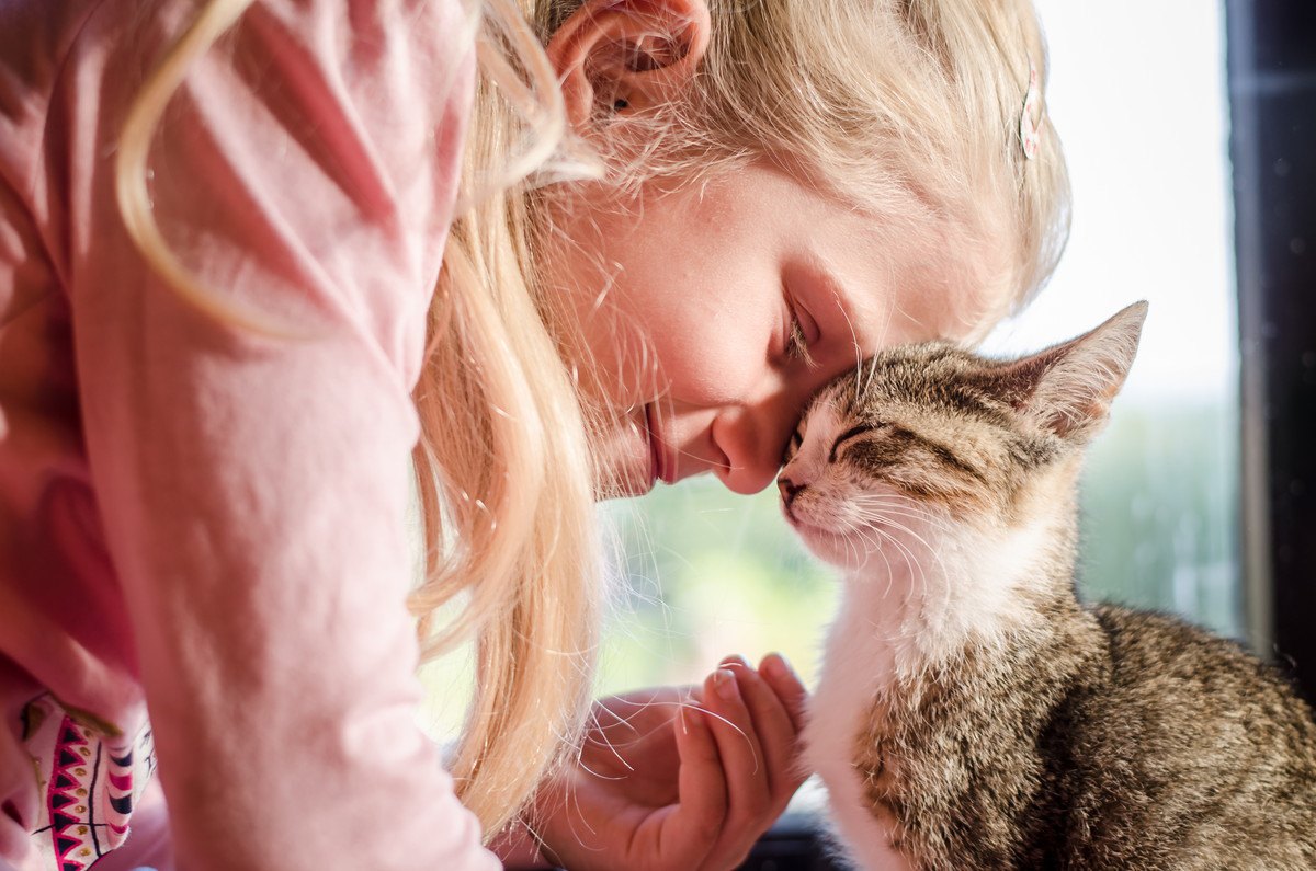 猫が飼い主と『触れ合いたい』時にする仕草4つ