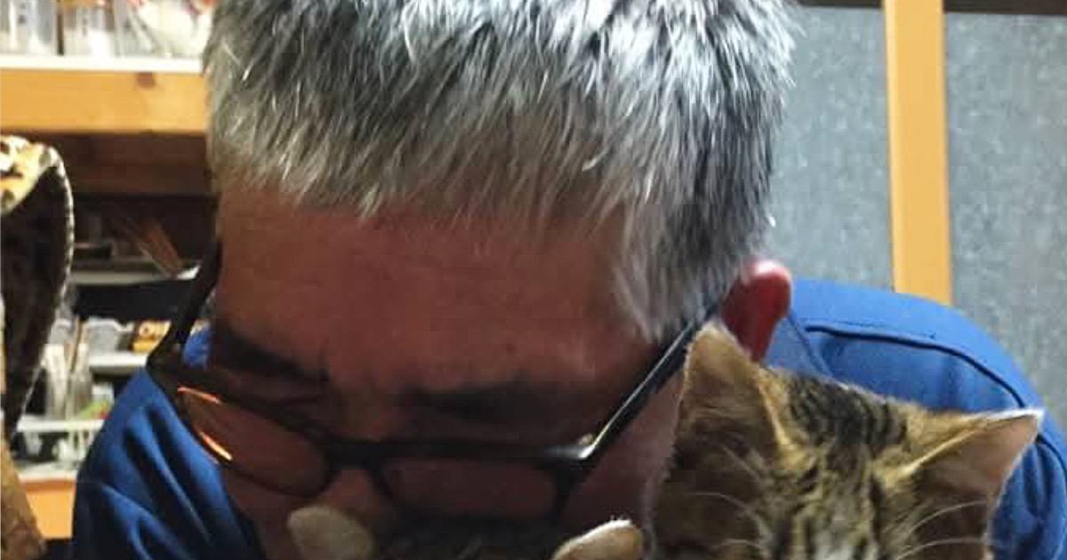 酔っぱらった父に抱きしめられた猫たち…思わず笑ってしまう『表情』に「絶望感が伝わるｗ」「仕方ないニャ」と反響
