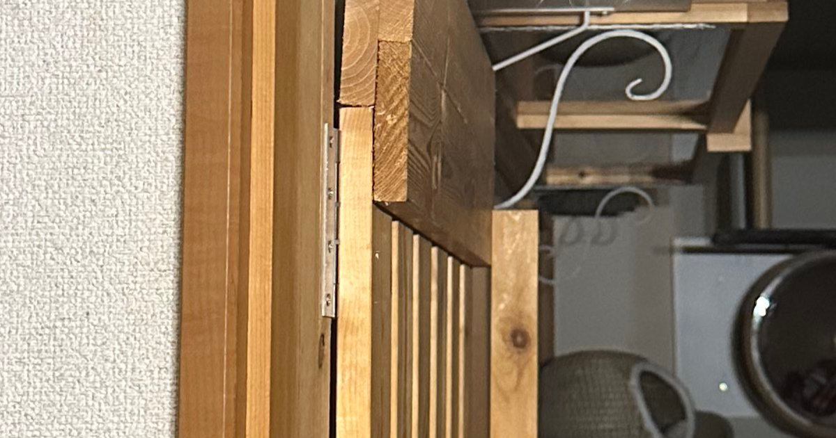 『変な声出た』→ふとドアの上を見たら、猫が…妖怪すぎる『お出迎えの光景』に「悲鳴待ったなしｗｗ」「二度見しちゃったｗ」と93万表示