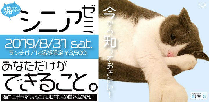 猫様のためのシニアゼミが開催決定！