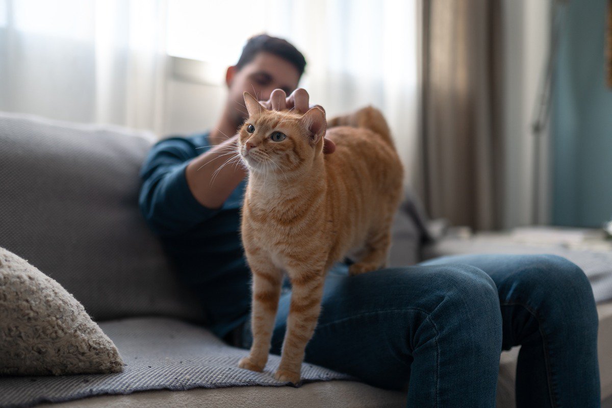 猫から『モテる』ために試したい５つの方法　好まれる人の条件とは？避けるべきNG行為も