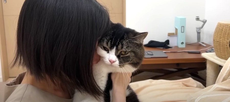 猫吸いで幸せな飼い主さん♡猫ちゃんたちの反応は？