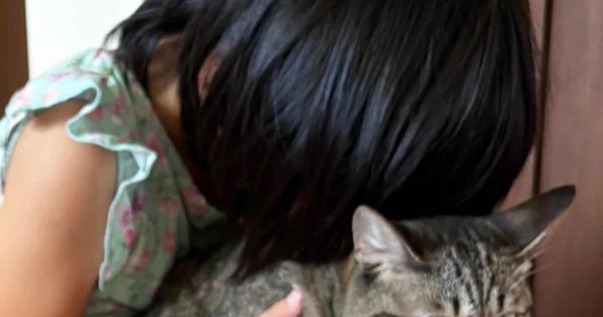 娘に『猫吸いされる猫』と、隣で『次は自分の番』だと察した猫…笑ってしまう『2匹の様子』に7万いいね「諦めてるｗ」「病院の順番待ちｗ」