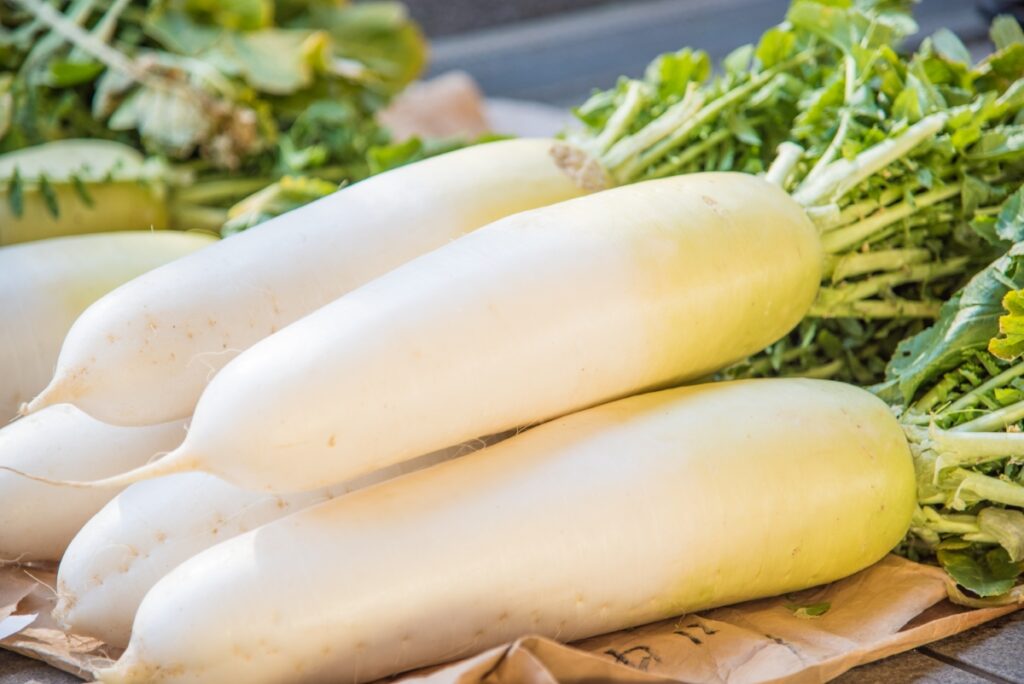 【獣医師監修】猫は大根を食べても大丈夫？葉・茎など与え方や注意点、栄養素などを徹底解説