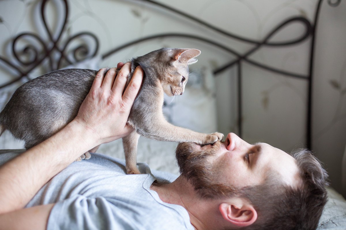 猫が飼い主さんの『顔に乗ってくる』ときの心理3つ　くつろぎにくいはずなのに、わざわざ乗るワケ