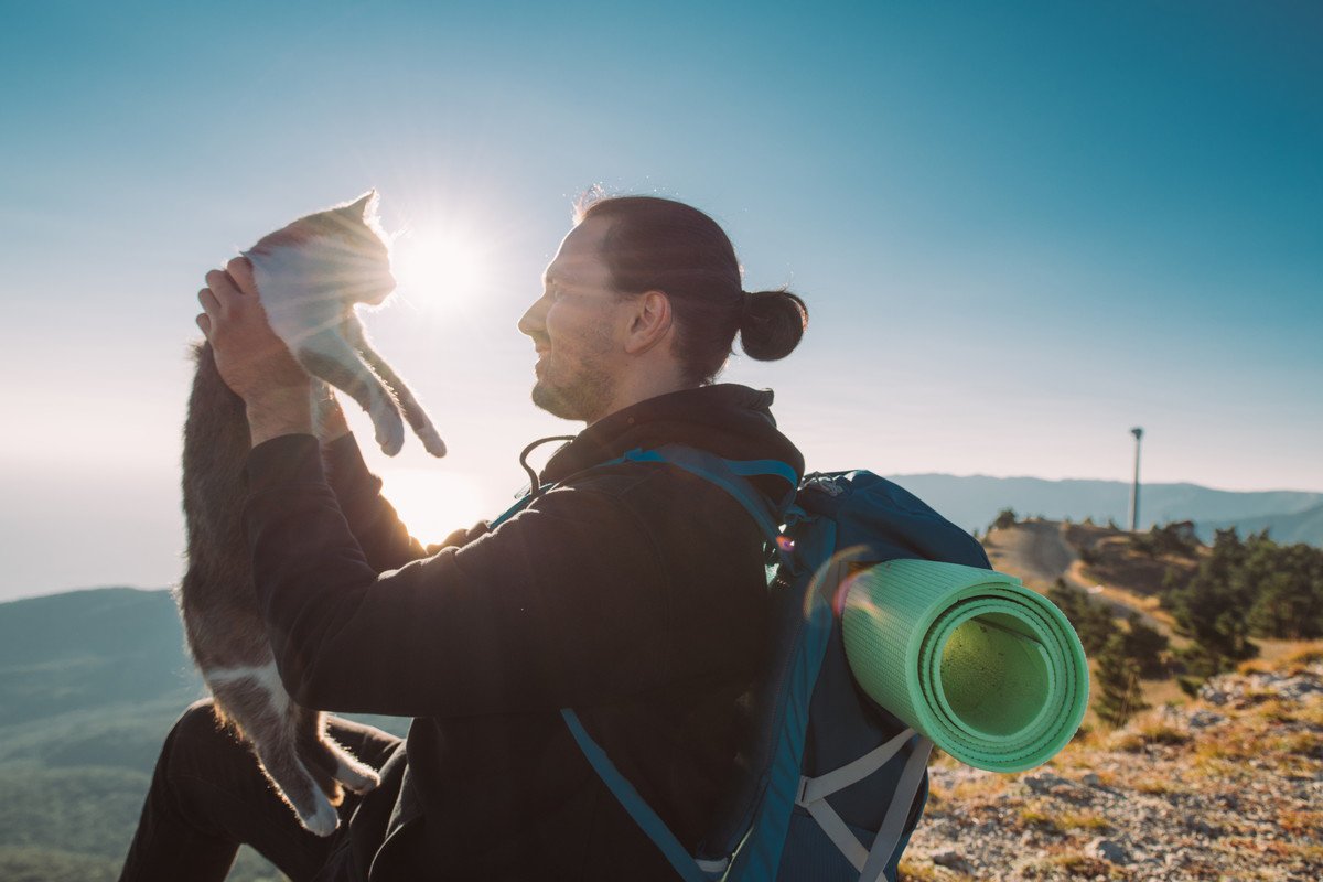 自然環境保護のために、登山者に人気の猫を「強制下山」！人々からは不満の声も　フィリピン