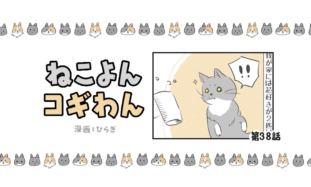 ねこよんコギわん【第38話】「芯が好き」