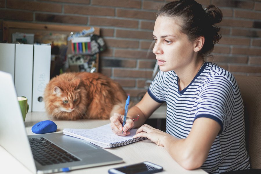 大学図書館で学生を癒すやさしい猫が「非公式マスコット」として大人気に　英国