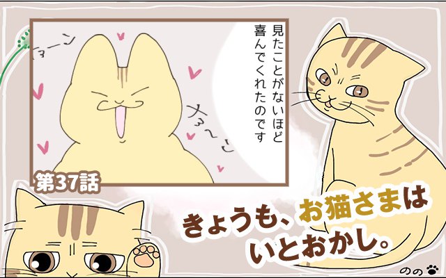 きょうも、お猫さまはいとをかし。【第37話】「幸せな悩み」