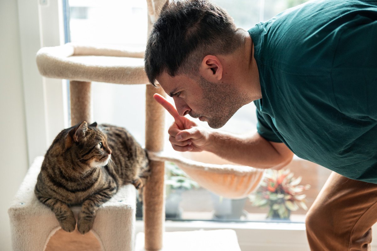 猫に『イタズラ』をやめさせたいときの方法5つ　上手な対処法から避けるべきNG対応まで