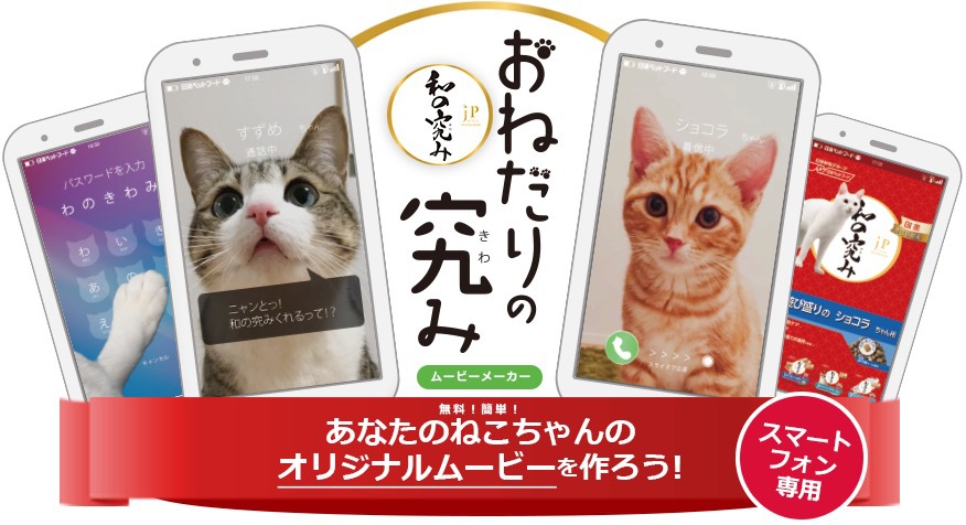 愛猫から電話がくる！『おねだりの究み　ムービーメーカー』