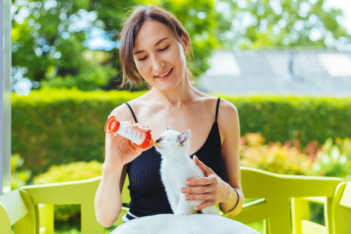 初めてのキャットシッター！準備すること、気を付けること