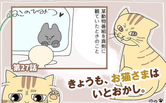 きょうも、お猫さまはいとをかし。【第27話】「無言の訴え」