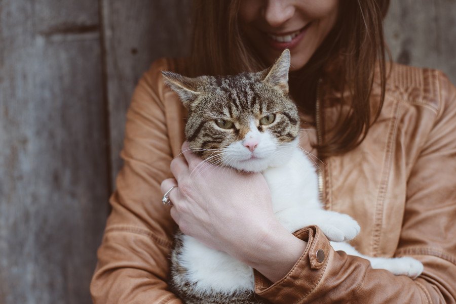 野良猫と飼い猫の寿命が違う4つの理由