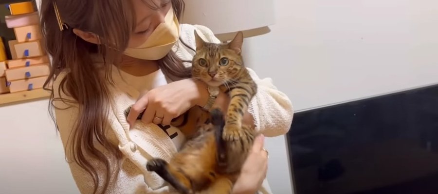 怒ってる？4日ぶりに飼い主さんと再会する猫ちゃんたち！