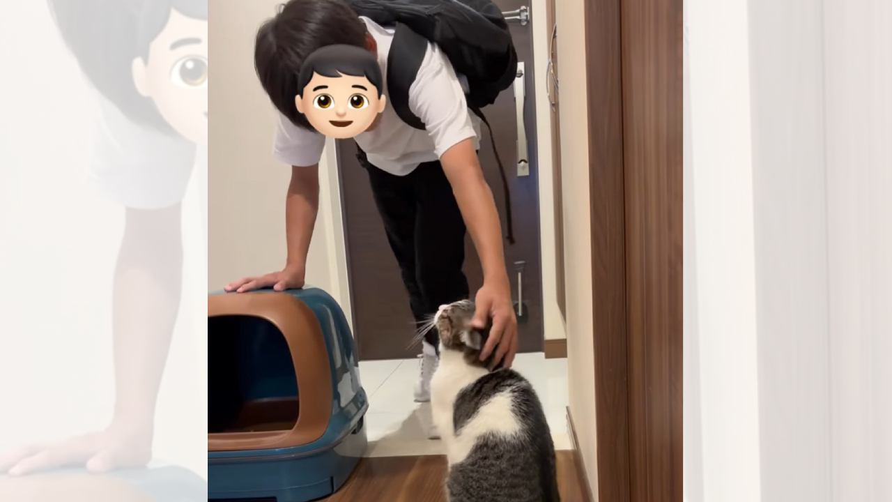 お兄ちゃんが玄関に向かうと、猫がやって来て……お出かけ前の『微笑ましいやり取り』が198万再生「なんて尊い」「幸せな気持ちになった」